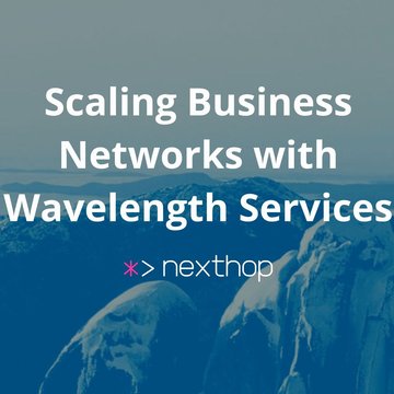 Scaling Business Networks with Wavelength Services