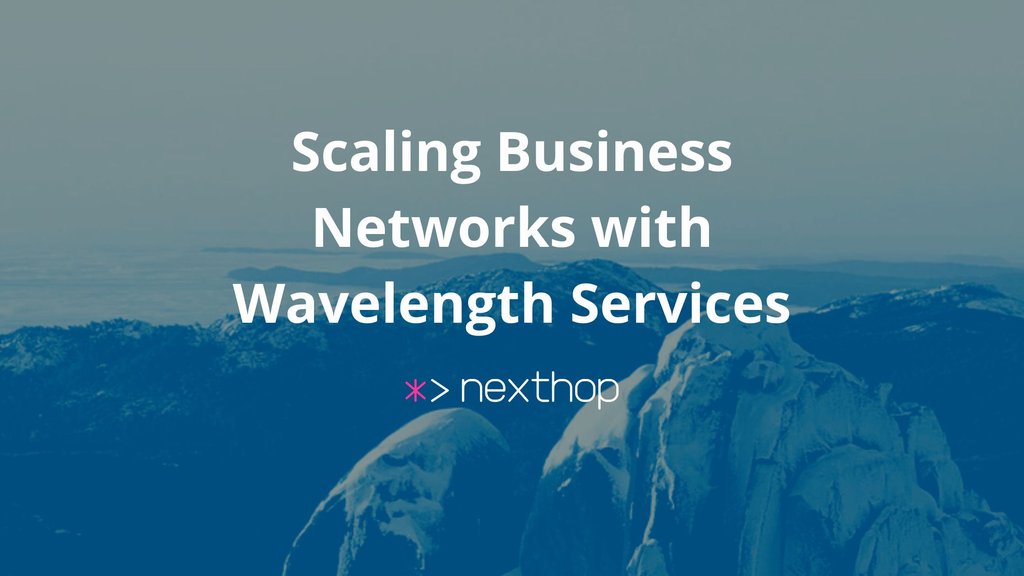 Scaling Business Networks with Wavelength Services